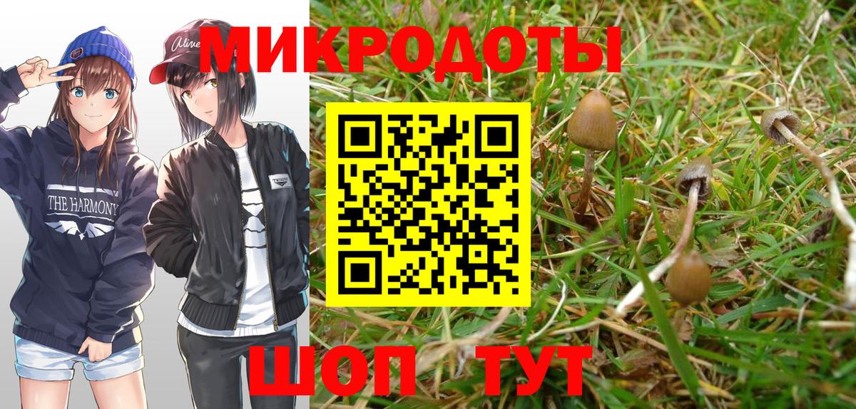 Галлюциногенные грибы GOLDEN TEACHER Жигулёвск