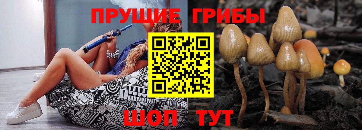 Жигулёвск  Галлюциногенные грибы прущие грибы  Вход с VPN 