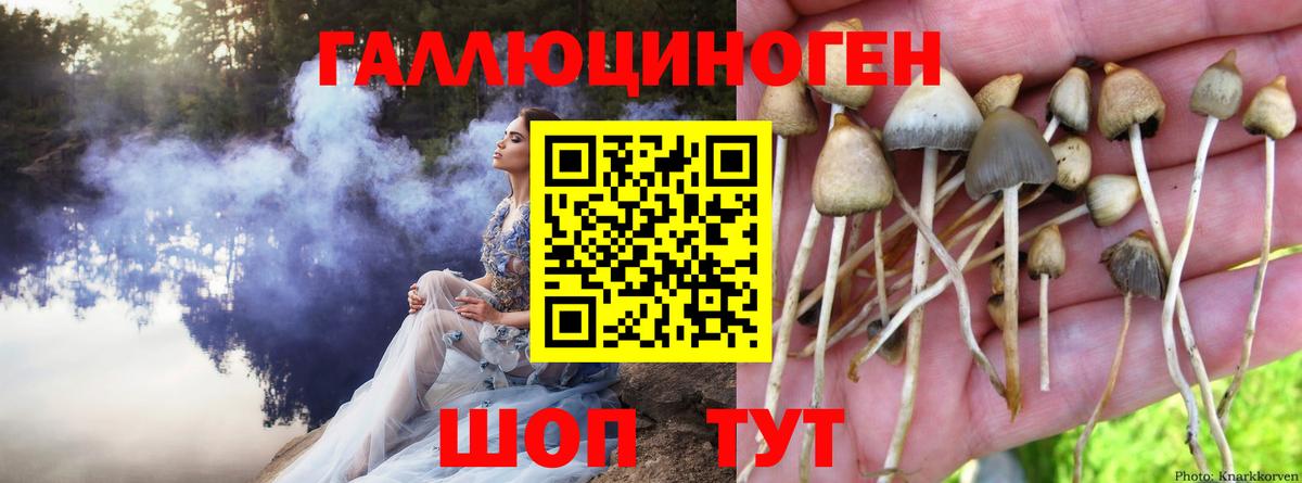 LSD-25  Жигулёвск  ГАШИШ  Канабис  Где купить наркотики?  Cocaine  Вход с VPN  Меф МЯУ МЯУ кристаллы  Меф 